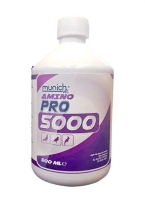 MUNİCH VET - Resim 2