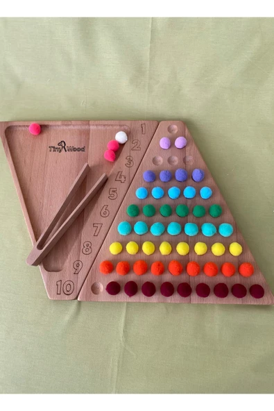 Eğitici Oyuncak Montessori Ahşap Sayı ve Renk Eşleştirme Oyunu