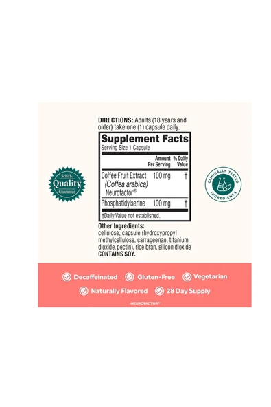 , Brain 50 Capsules Usa Vers.435 ürün görseli