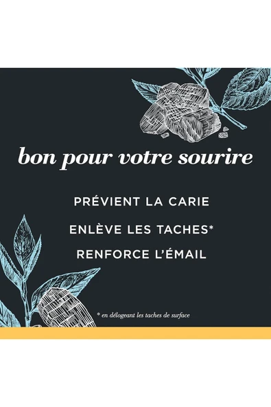 Charcoal Fluoride, Karbon ve Florürlü Diş Macunu, Mountain Mint, 105 ml - Resim 6