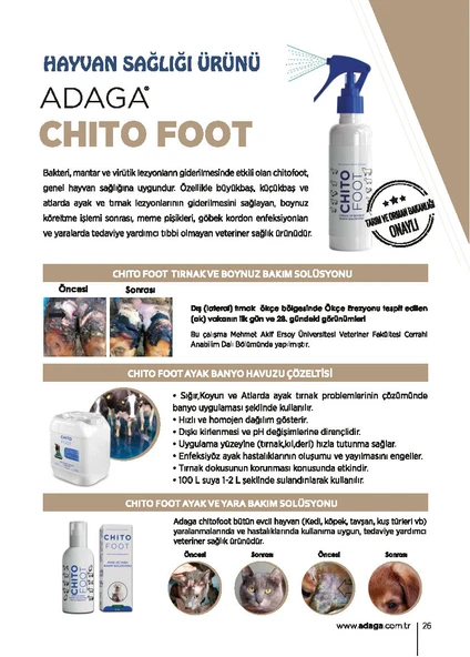 Chito Foot Ayak Havuzu - 20 Litre - 2