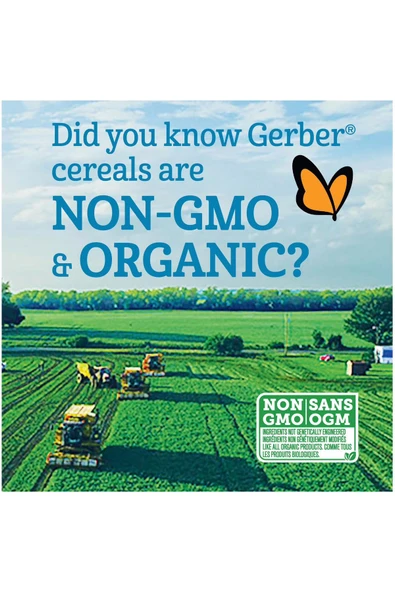 Organic- Wheat & Wholegrain Oatmeal Banana- Buğday ve Tam Yulaflı Muzlu Kaşık Mama- 6 ay- 208 Gr - Resim 3