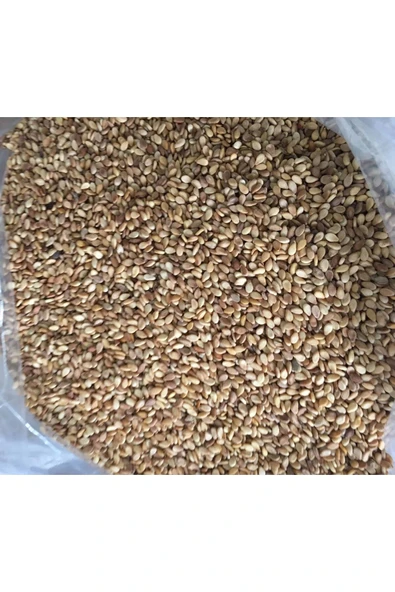 SUSAM (KÜNCÜ) 250 GR - 2
