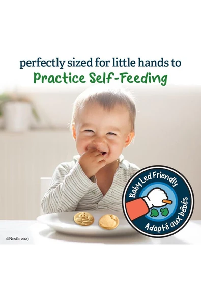 Organic Biscuits - Apple- Organik Bebek Bisküvisi- Elmalı-12 ay+ 150 gram - Resim 3