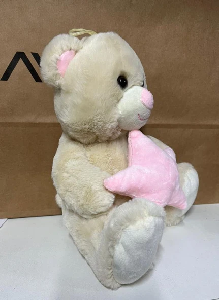 Oyuncak Peluş Sevimli Uyku Arkadaşı Yıldızlı Ayıcık 26 cm - Resim 3