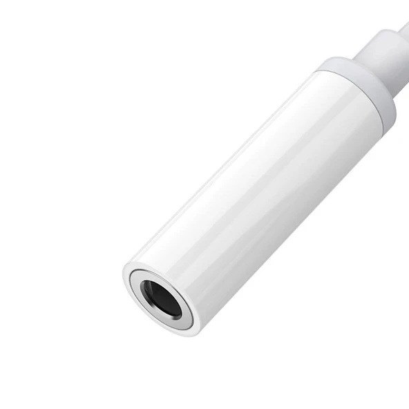 Recci RDS-A03 3.5mm to Type-C Audio Kablo - Resim 2