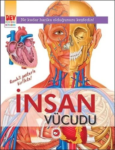 Dev Posterli Kitabım - İnsan Vücudu ürün görseli 1