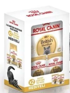 Royal Canin British Bundle Kedi Mamasi 2 Kg + 2 Adet Yaş Mama ürün görseli