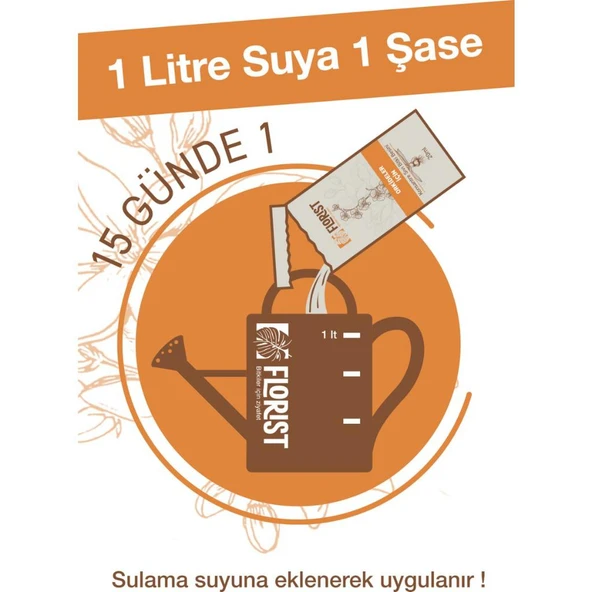 Konsantre Orkide Besini - Resim 2