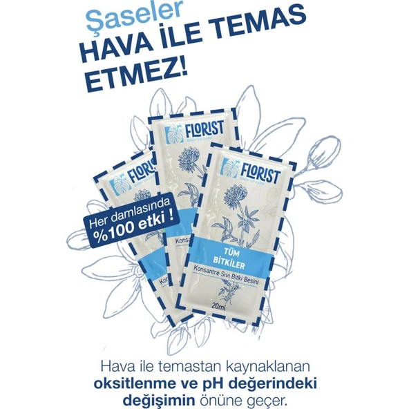 Tüm Bitkiler Genel Kullanım Bitki Besini - Resim 5