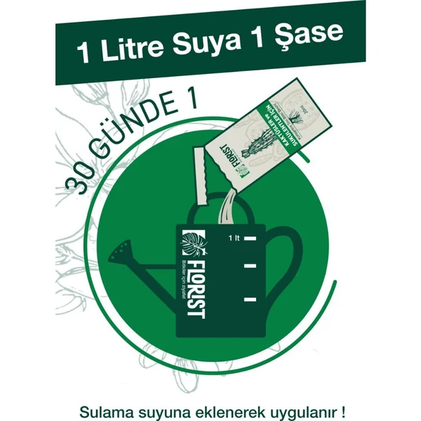 Konsantre Sıvı Kaktüs ve Sukulent Bitki Besini - Resim 2