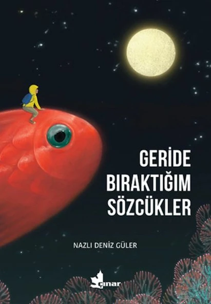Geride Bıraktığım Sözcükler ürün görseli 1
