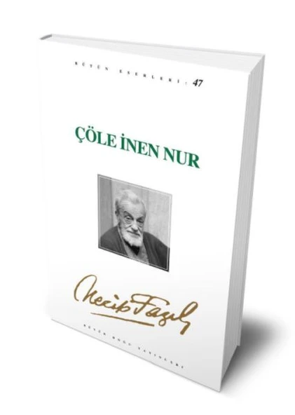 Çöle İnen Nur ürün görseli 1