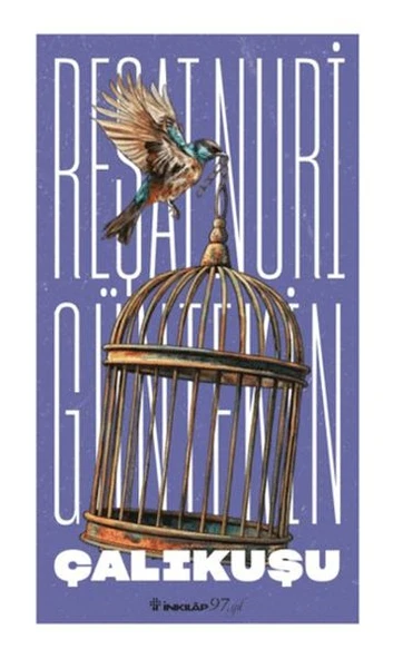 Çalıkuşu (Yeni Kapak) ürün görseli 1