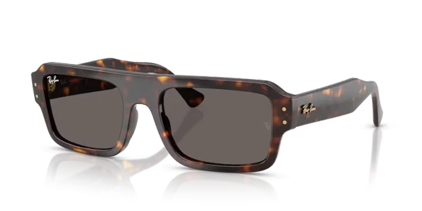 RB RB4454 667748 56-20-145 Unisex Güneş Gözlüğü ürün görseli