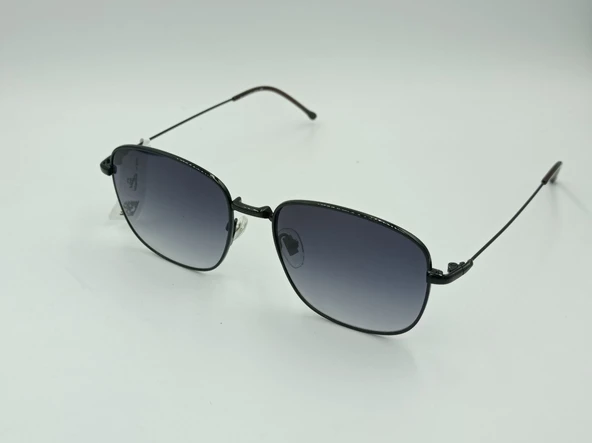 DE VALENTİNİ AF 2102 C6 54 Erkek Güneş Gözlüğü - Resim 2