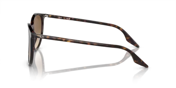 RAY-BAN RB2204 902/51 51-20-145 Unisex Güneş Gözlüğü - Resim 2