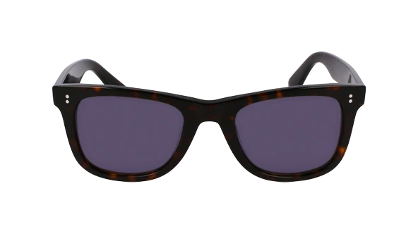 LACOSTE L6036S 230 52-22-150 Erkek Güneş Gözlüğü - Resim 2