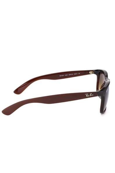 RAY-BAN RB4202 607313 55-17-145 Erkek Güneş Gözlüğü ürün görseli