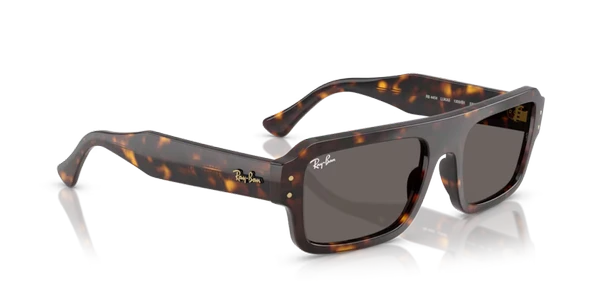 RB RB4454 1359B1 56-20-145 Unisex Güneş Gözlüğü - Resim 4