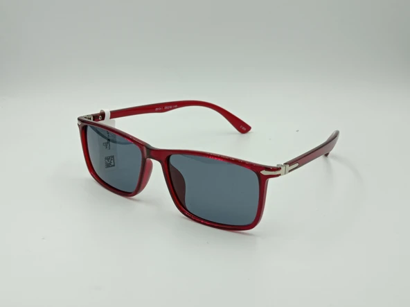 EINETTI EI2013-1 C505 55-16-145 Erkek Güneş Gözlüğü - Resim 2