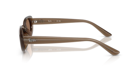RAY-BAN RB4441D 677973 53-21-145 Kadın Güneş Gözlüğü - Resim 2