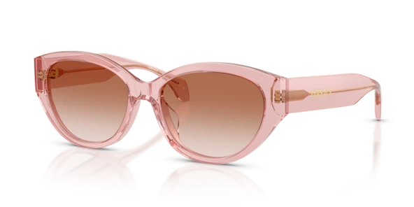 VE VE4495D 543413 56-17-140 Kadın Güneş Gözlüğü ürün görseli