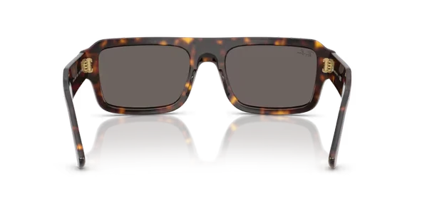 RB RB4454 667748 56-20-145 Unisex Güneş Gözlüğü - Resim 3