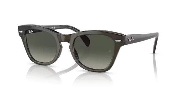 RAY-BAN RB0707S 664271 50 G Kadın Güneş Gözlüğü ürün görseli