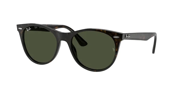 RAY-BAN RB2185 902/31 55-18-145 Erkek Güneş Gözlüğü ürün görseli