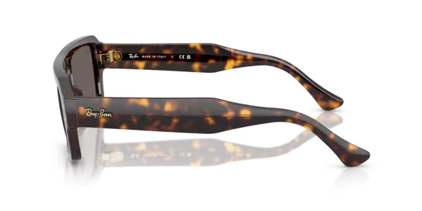 RB RB4454 667748 56-20-145 Unisex Güneş Gözlüğü - Resim 2