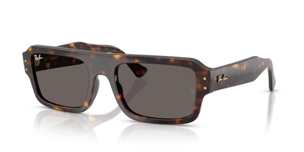 RB RB4454 1359B1 56-20-145 Unisex Güneş Gözlüğü ürün görseli