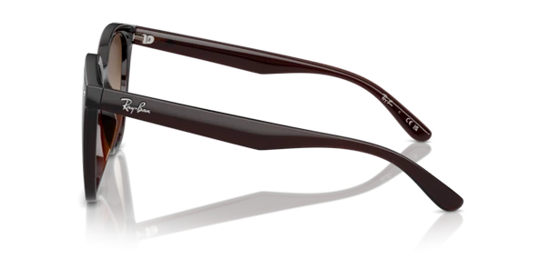 RAY-BAN RB4423D 714/13 66-15-145 Unisex Güneş Gözlüğü - Resim 2