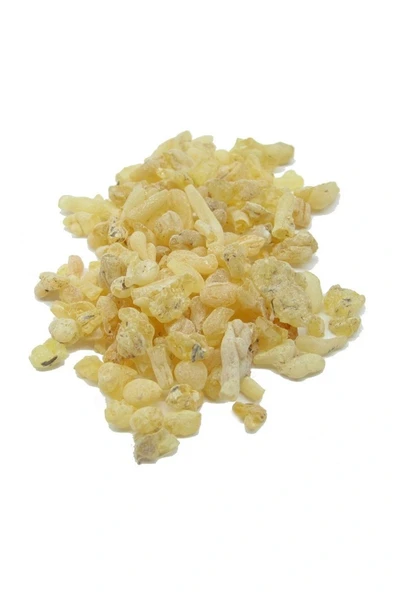 100 gr - Doğal Sandoloz Sakızı - Sandaloz Sakızı- Sandaroz - Resim 2