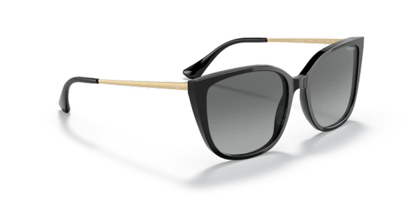 VOGUE VO5435-SI W44/11 Kadın Güneş Gözlüğü - Resim 4