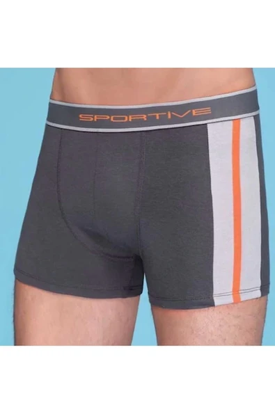 Erkek Modal Boxer 1080 ürün görseli 1