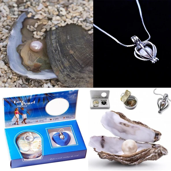 İstiridye İçinde İnci Kolye Seti ürün görseli