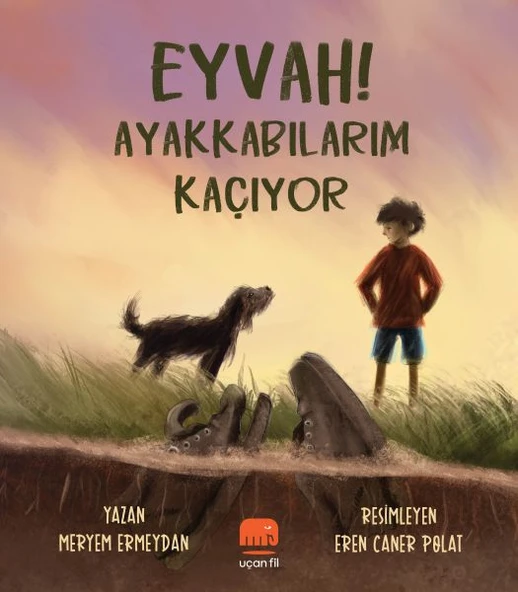 Eyvah! Ayakkabılarım Kaçıyor ürün görseli
