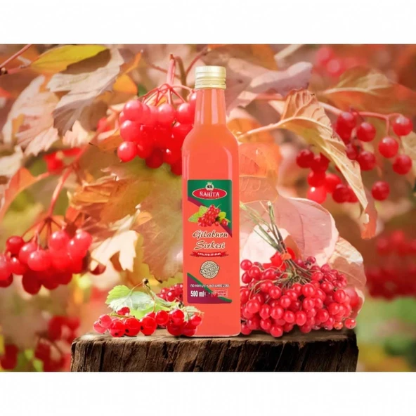 DOĞAL GİLABURU SİRKE 500GR NAHİTA ürün görseli