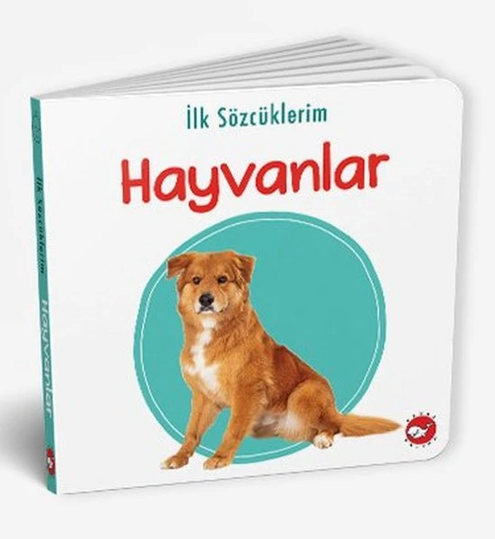 İlk Sözcüklerim - Hayvanlar ürün görseli 1