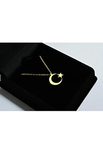 AY YILDIZ GÜMÜŞ KOLYE - Resim 3