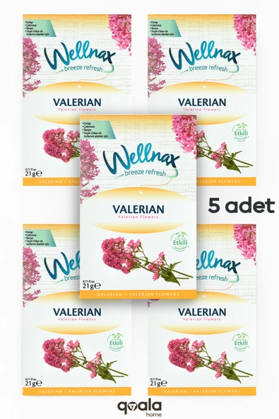 Wellnax ( 5 ADET ) Valerian | Dolap Ve Çekmece Kokusu | Rutubet Önleyici Kese, Askılı Dolap Kokusu