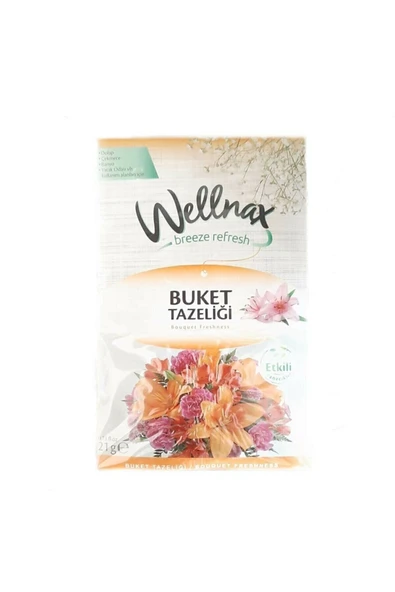 Wellnax Dolap Ve Çekmece Kokusu Karışık Seri X5 - 4