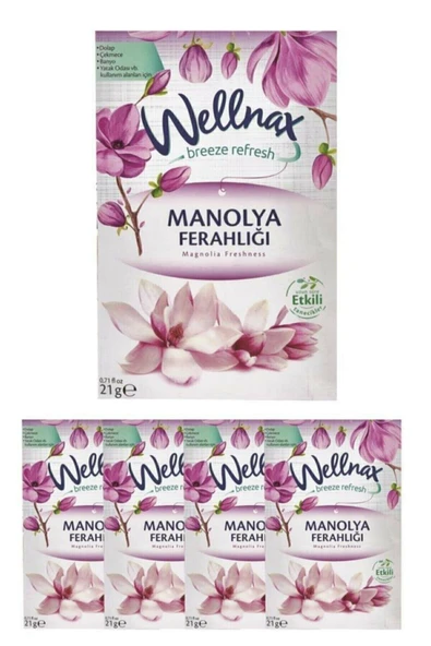 Wellnax Dolap Ve Çekmece Kokusu Manolya Ferahlığı Kesesi X5