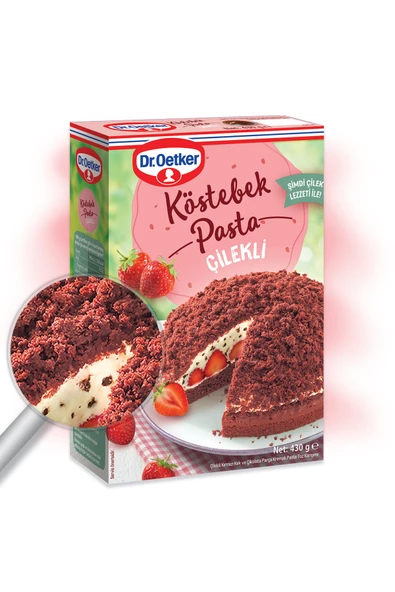 Dr. Oetker Çilekli Köstebek Pasta 430 Gr