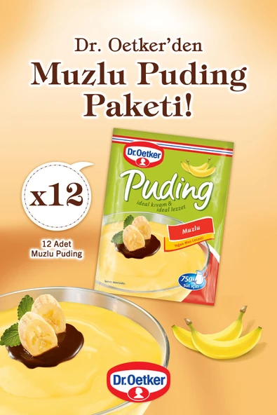 Dr. Oetker Puding Muzlu 12'li