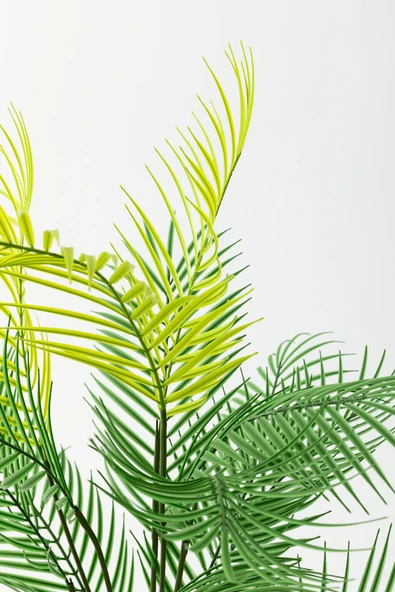 Yapay Ağaç Areka Ağacı Palmiye Ağacı Salon Bitkisi Yapay Areka 130 Cm 20 Yaprak - 5