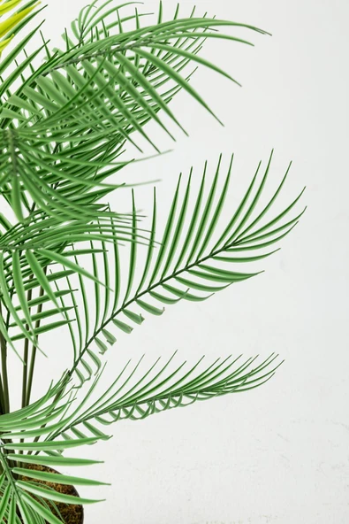 Yapay Ağaç Areka Ağacı Palmiye Ağacı Salon Bitkisi Yapay Areka 130 Cm 20 Yaprak - 4