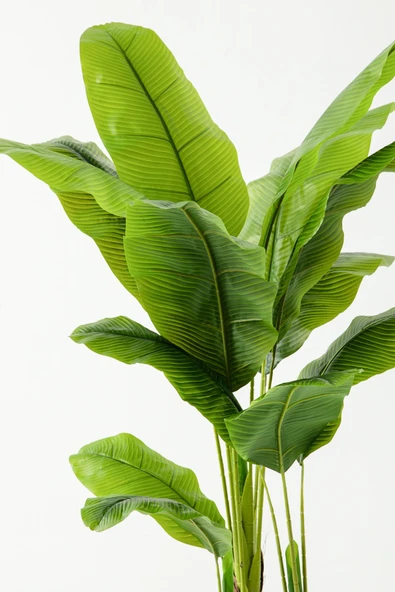 Yapay Ağaç Muz 160 Cm 13 Dal - Resim 4