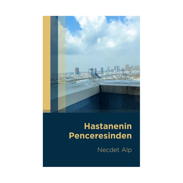 Hastanenin Penceresinden - Resim 2